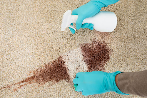 How to Clean House Carpet