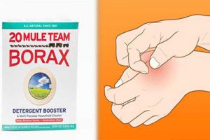 natural treatment for borax insecticide