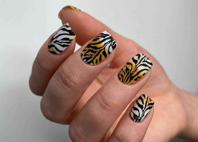 Tiger print manicure