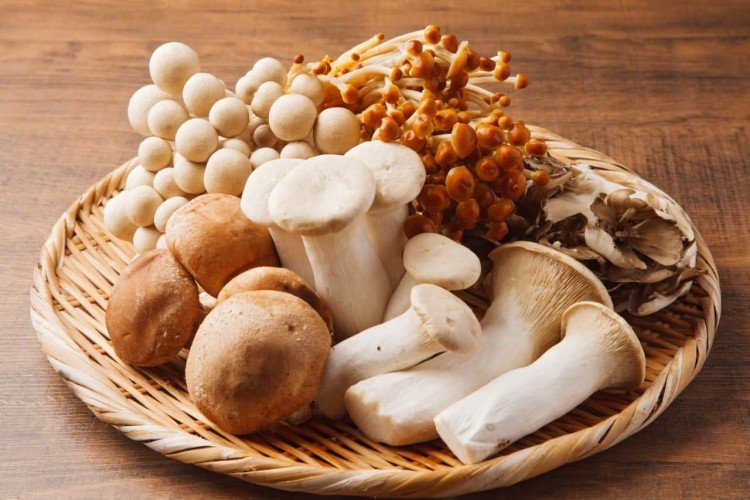Edible mushrooms: names, photos and descriptions