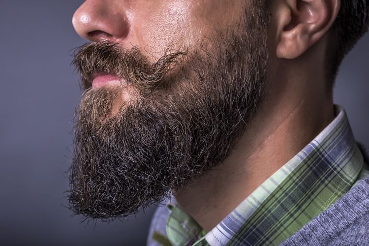 Pointed beard